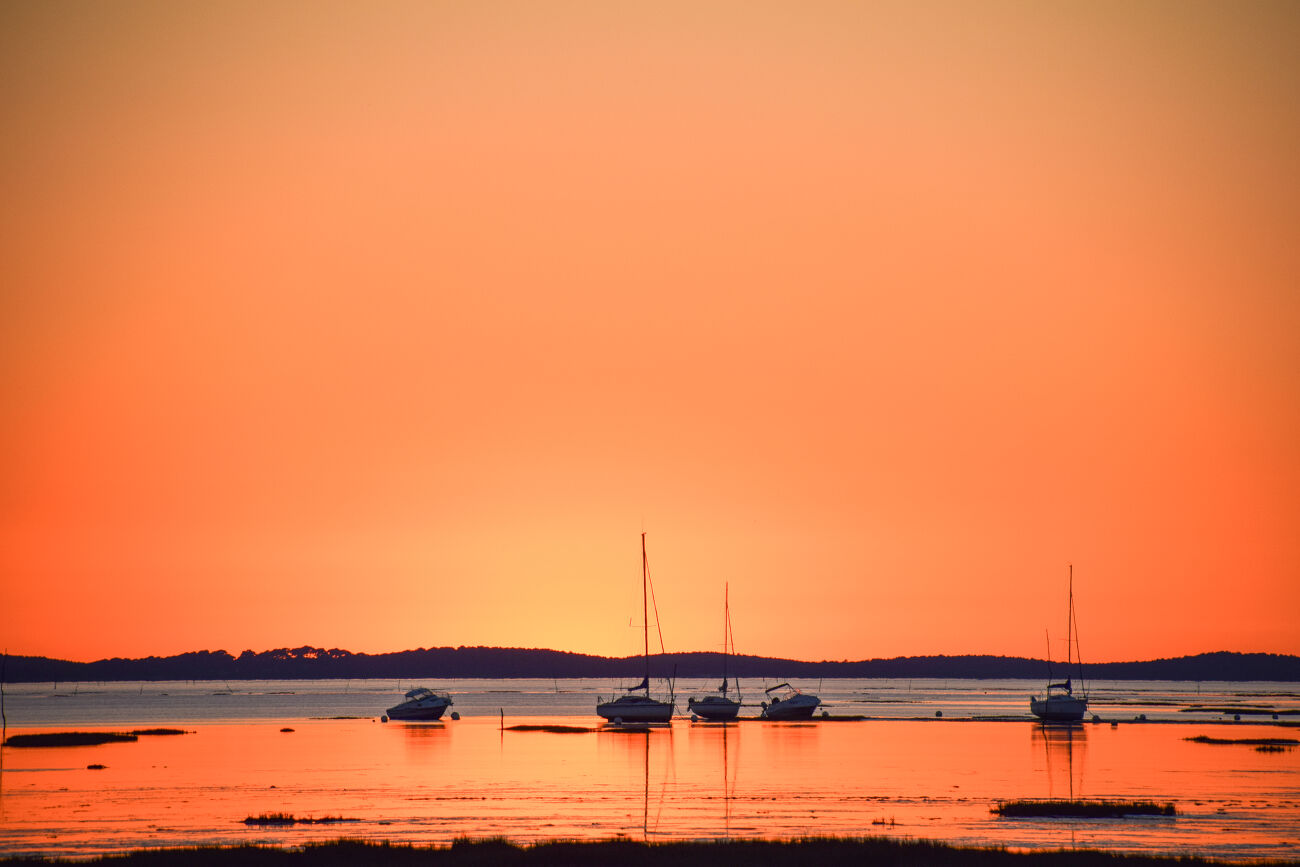 Bassin d'Arcachon 1